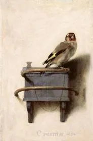 carel.fabritius.cardellino1650