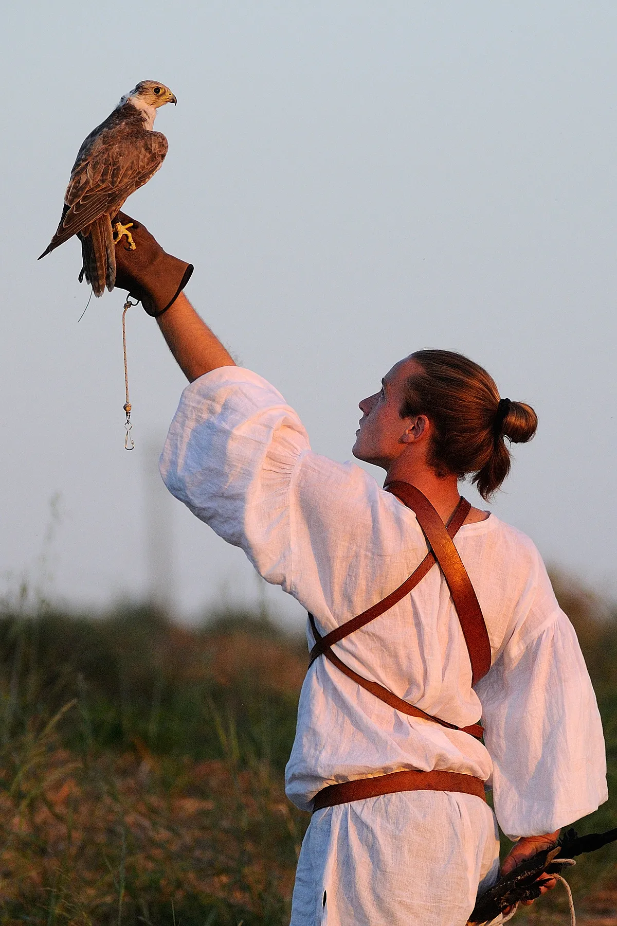 falconeria_MSN2513.jpg